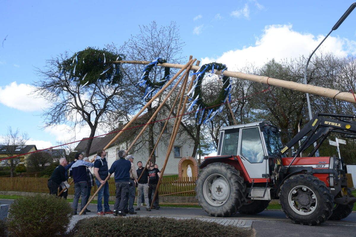 Heuer kein Malheur beim Maibaumaufstellen in Pleystein