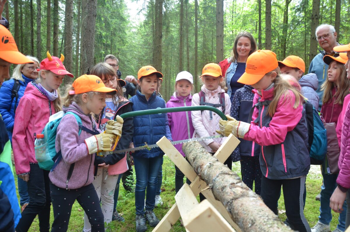 „Schützen und nützen“. Der Wald als unser  größtes Naturreservoir