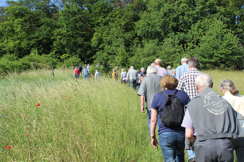 Teilwanderung in Luhe-Wildenau