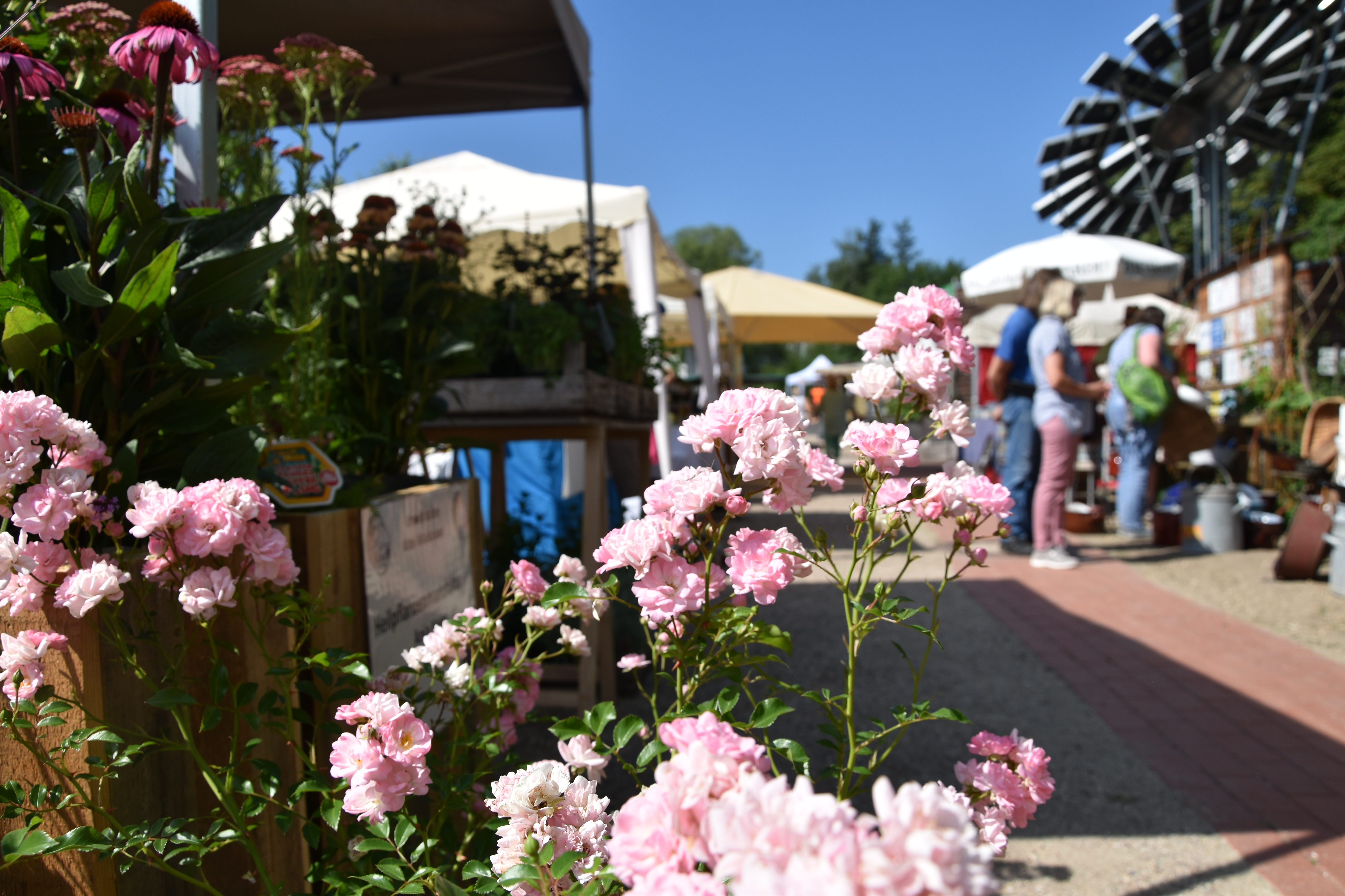 Kräuterfestival mit Handwerkskunst