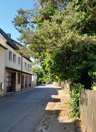 Stadt appelliert an Grundstückseigentümer: „Sträucher und Bäume zurückschneiden“