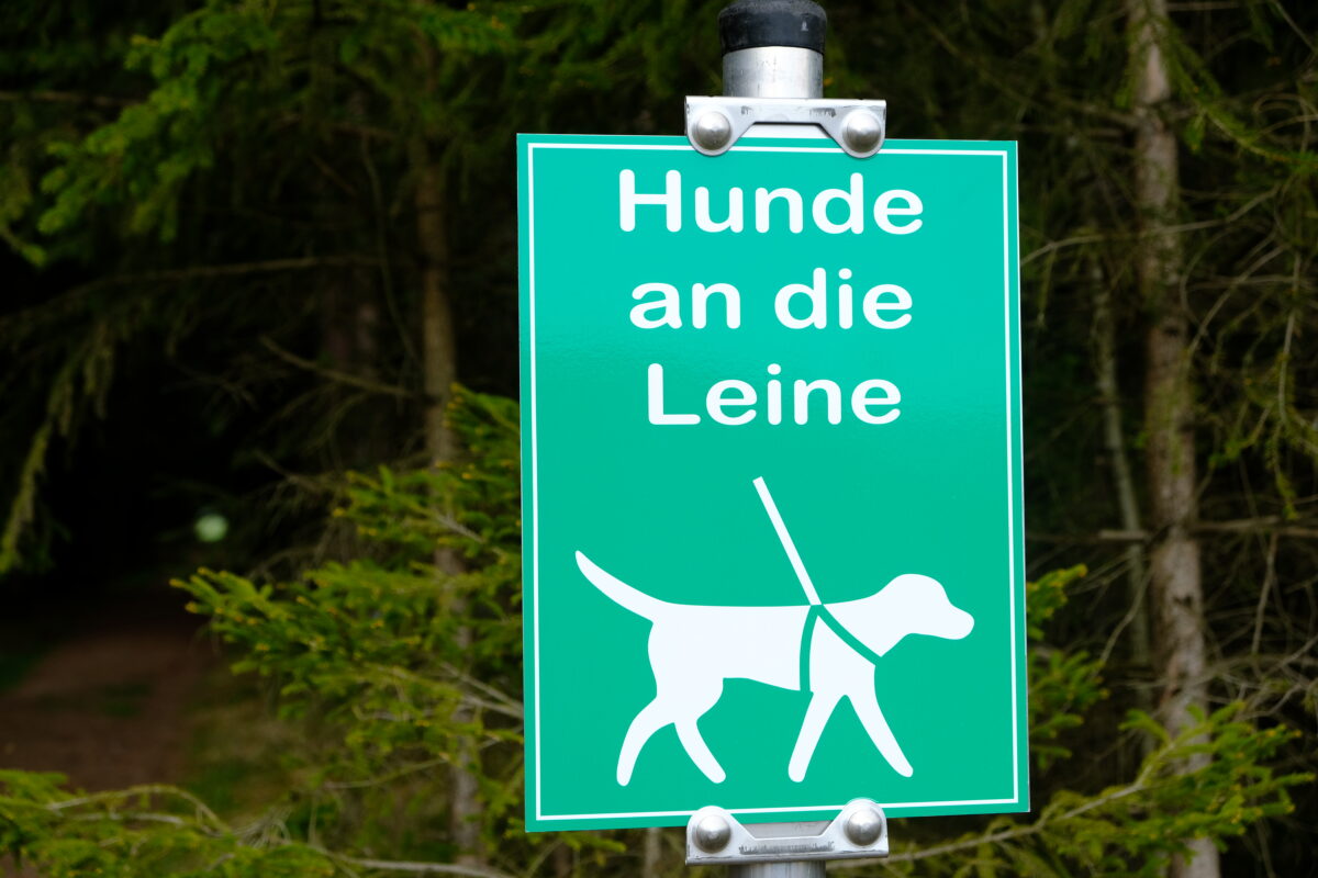Hunde an die Leine – Speinsharter Gemeindeverordnung wird erneuert