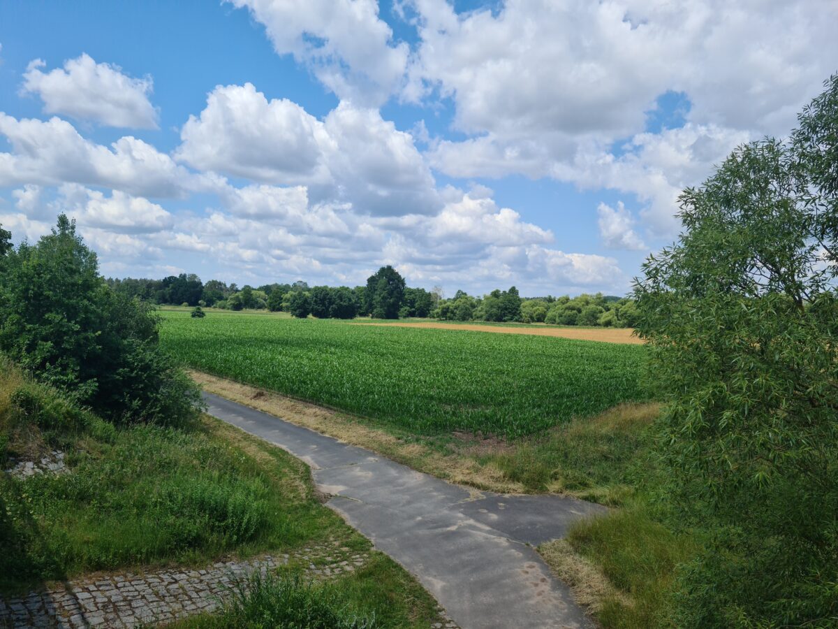 Stadtrat Grafenwöhr: Stadtrat will Klage gegen Planungsbeschluss