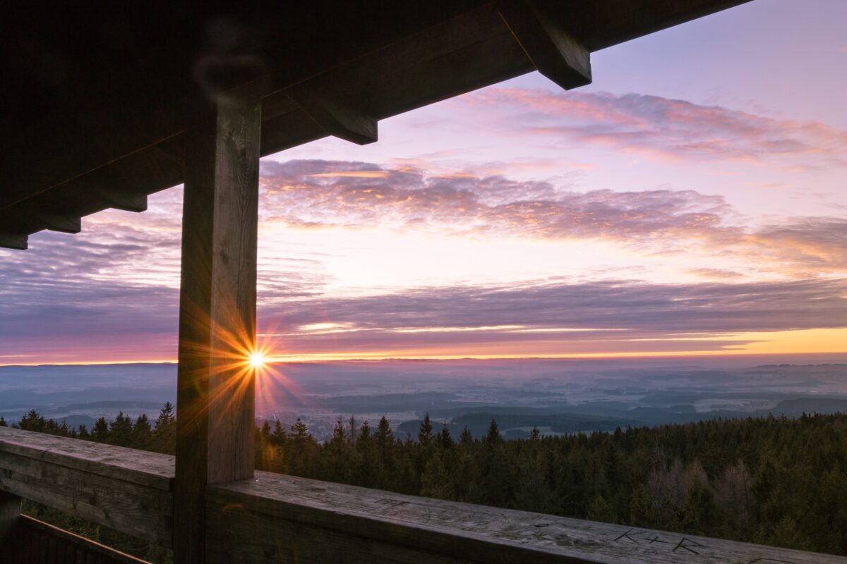 24 Stunden Steinwald erleben: Die schönsten Ecken des Naturparks