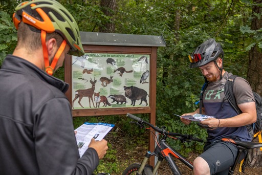 Schirmitzer Rätselrundfahrt geht in die zweite Runde