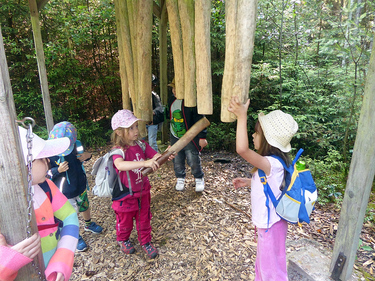 Forschendes Lernen: Waldwoche der Vorschulkinder