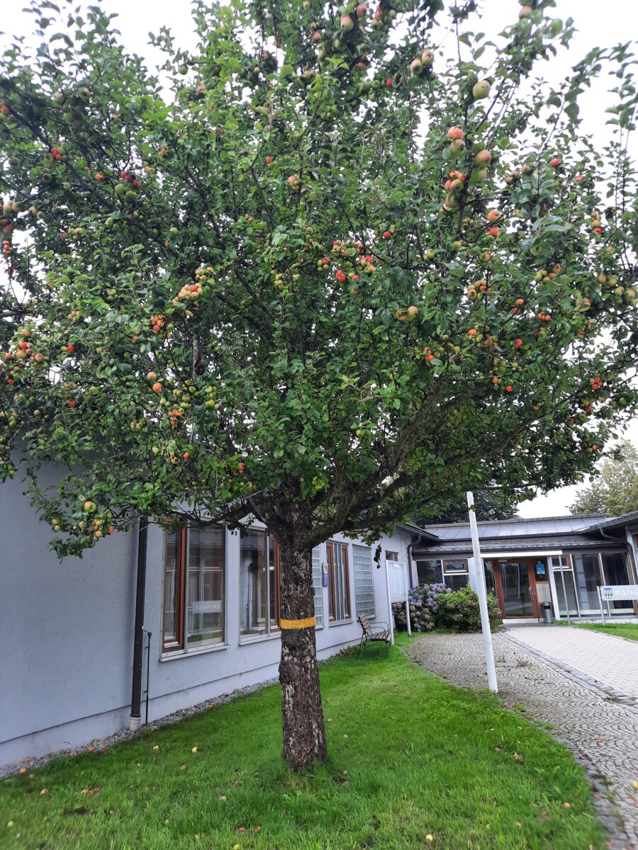 Garten- und Blumenfreunde stellen Halbjahresprogramm vor