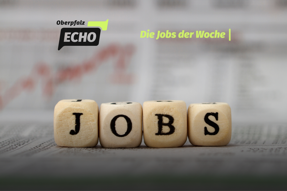 Jobs der Woche: Elektrotechniker, Erzieher und viele weitere gesucht
