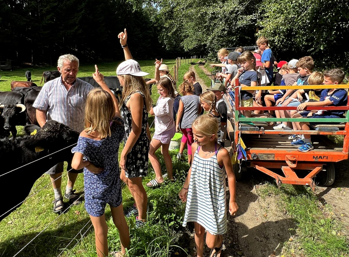 Kinderferienprogramm in Schirmitz: Reiten auf der Kuh Lea und vieles mehr