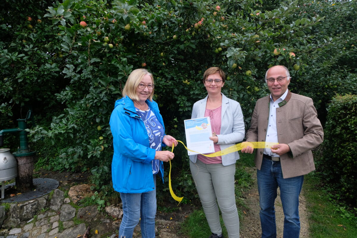Gelbes Band auch im Flosser Kreislehrgarten