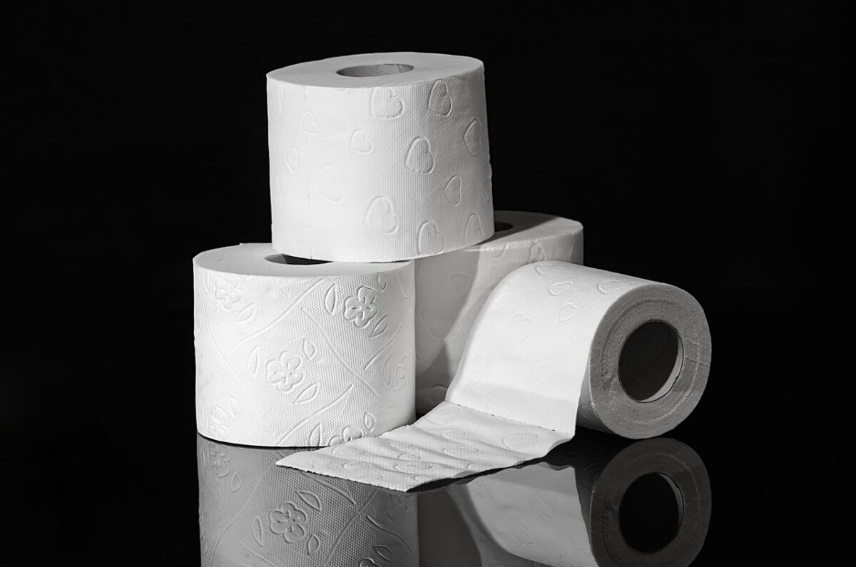 Tag des Toilettenpapiers: Huldigung eines unverzichtbaren Begleiters im Alltag
