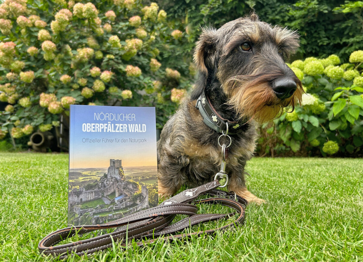 „Einfach raus in die Natur“ – Willi will wandern
