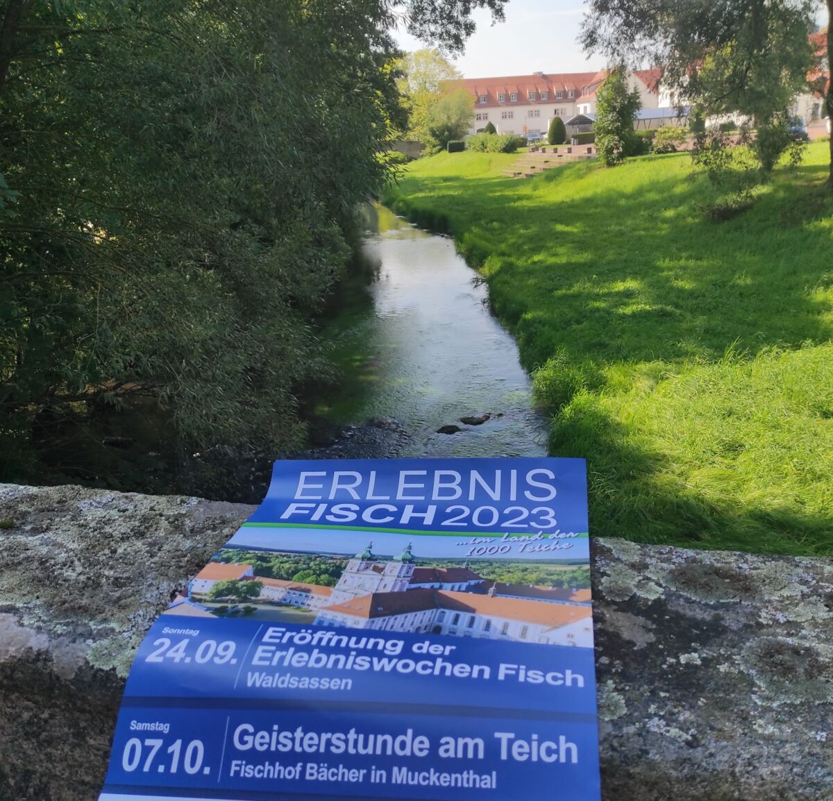 Zurück zu den Wurzeln – Vorfreude auf die Erlebniswochen Fisch
