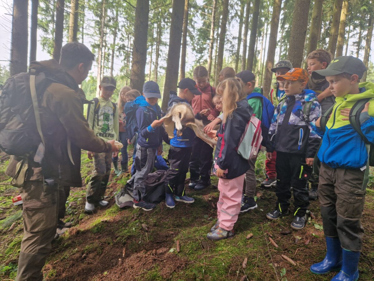 Mit dem Jäger im Wald