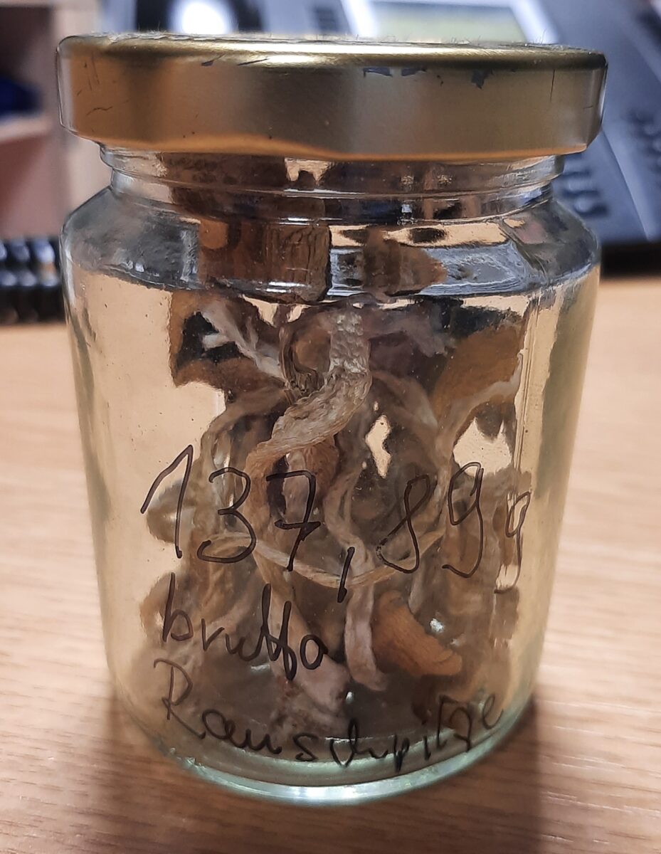 Marihuana, Haschisch und Magic Mushrooms – Bundespolizei Waidhaus stellt Drogen sicher