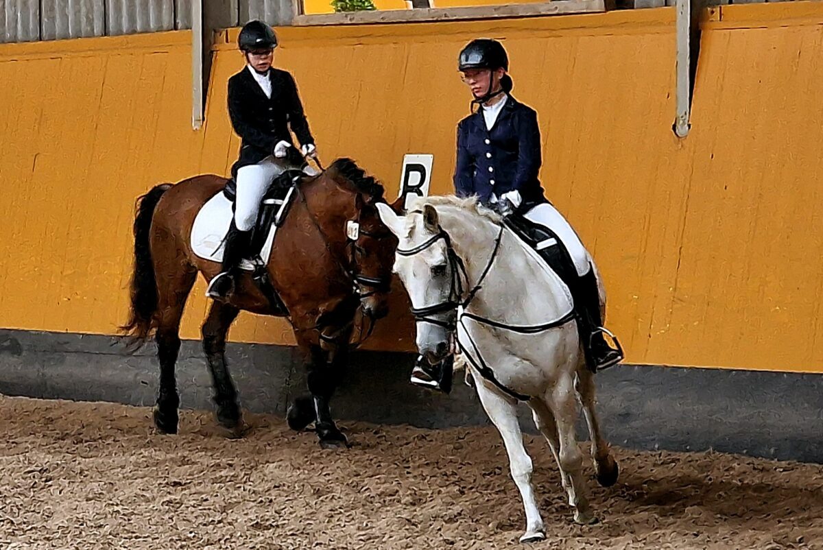 Hochklassiger Dressursport bei der RSG Weiden