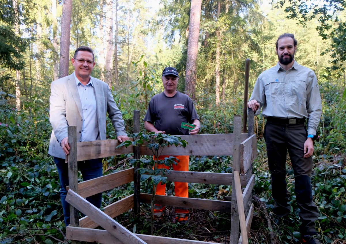 Ehre, wem Ehre gebührt: Kastanienbaum zum Abschied von Sigi Schell