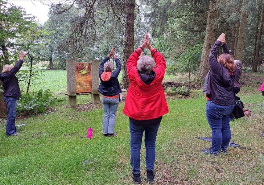 Aufmerksam durch den Waldbesinnungspfad