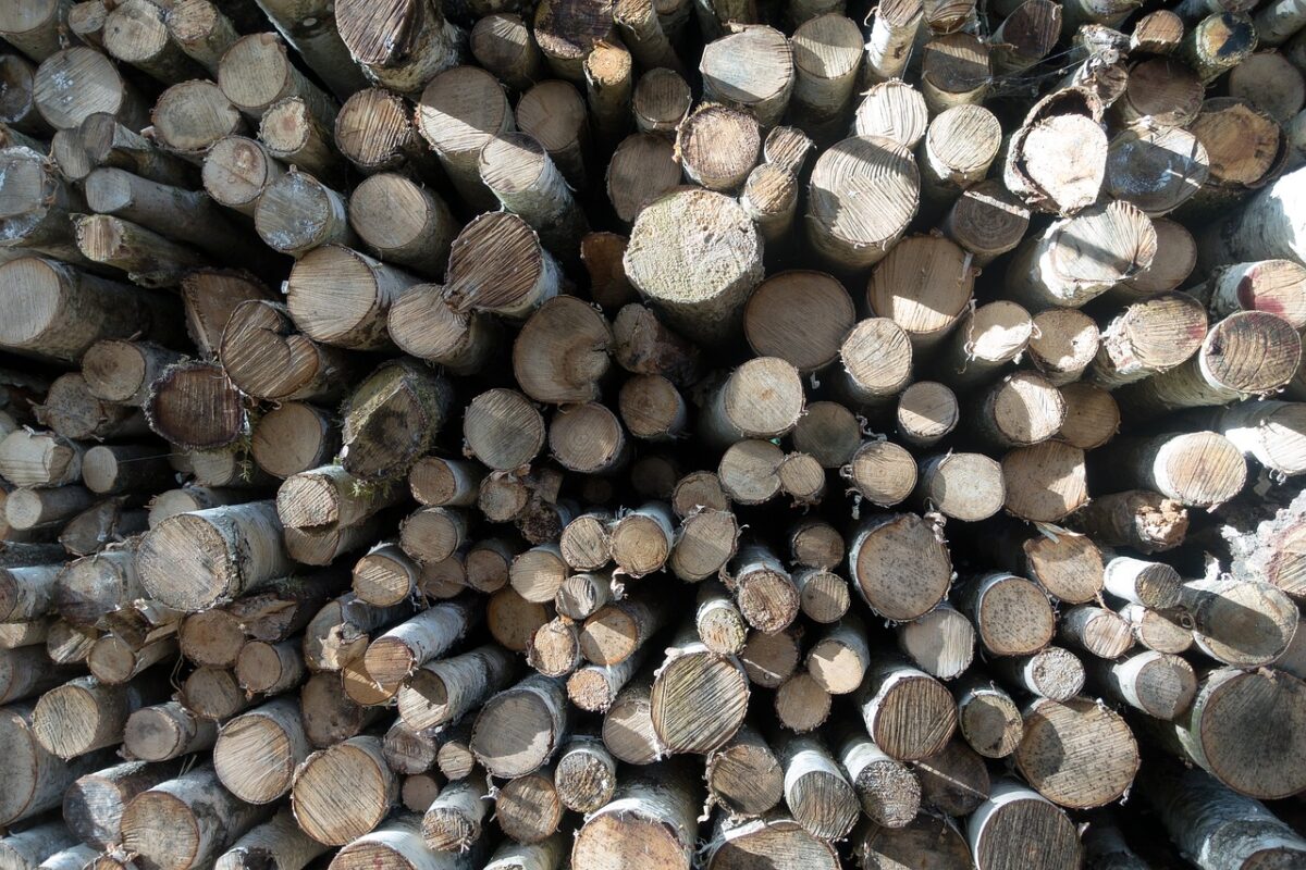 Der Winter kommt: Holzdiebstahl in Erbendorf