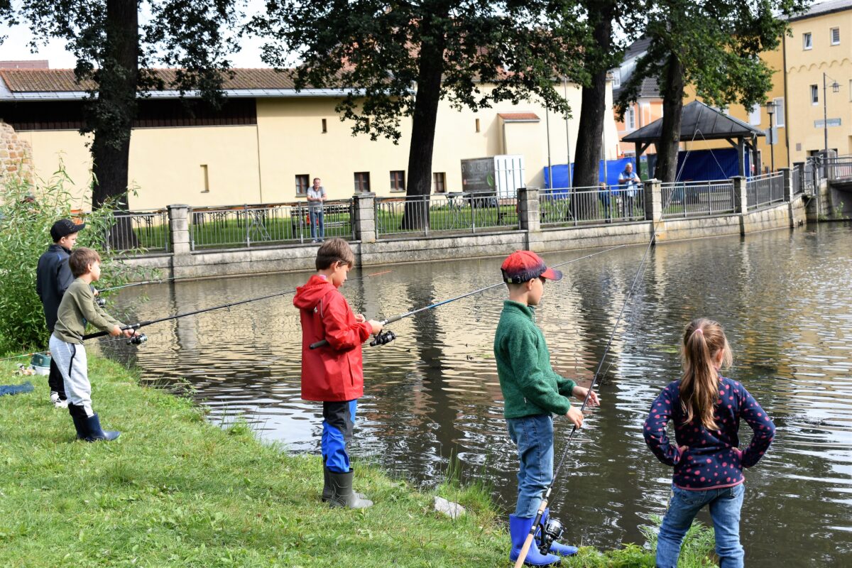 Stadtweiher in Grafenwöhr ist voller Leben