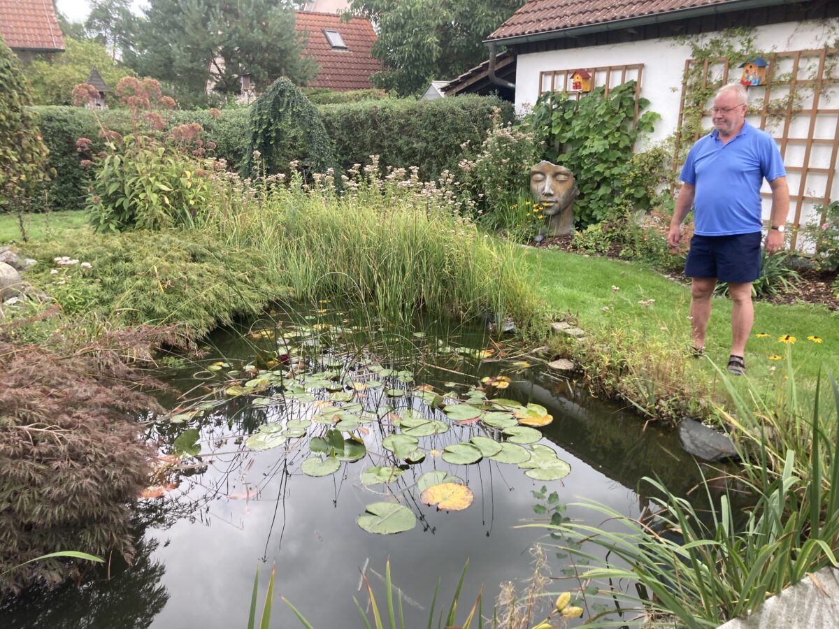 Mitten im Wohngebiet: Fischotter wütet in Teich in Etzenricht