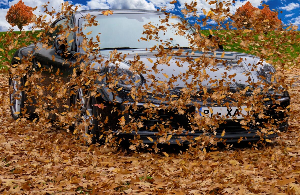 Schnee in  Sicht? Am Wochenende kommt der Herbst mit Macht