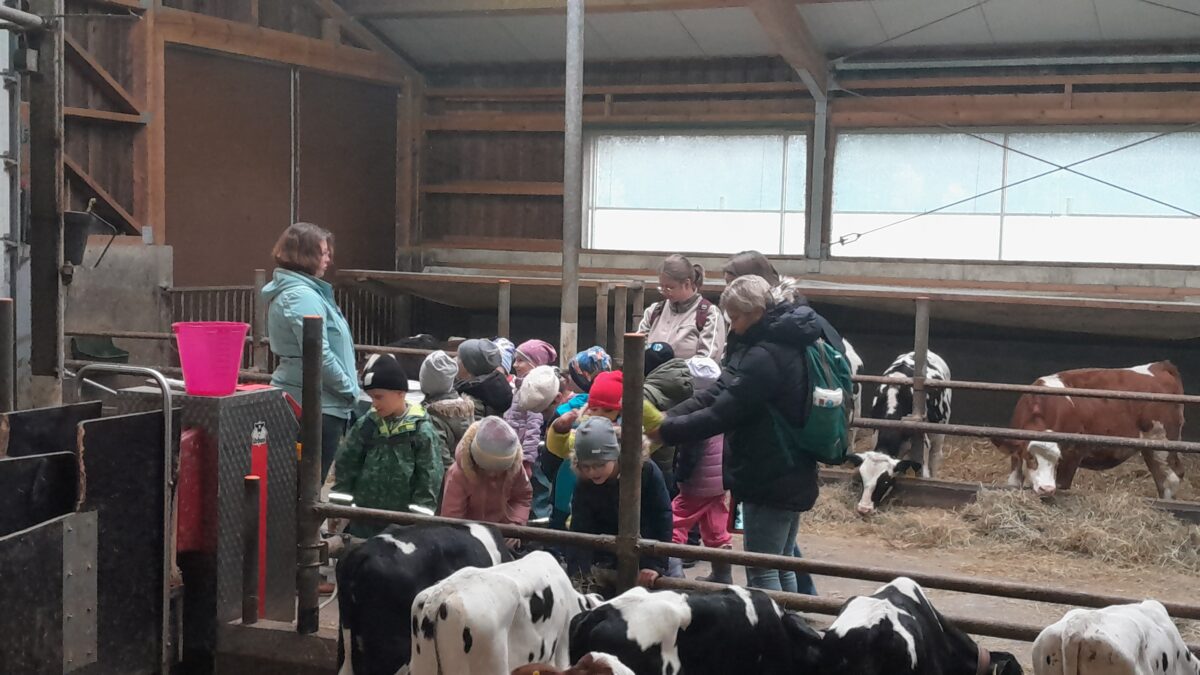 Kindergartenkinder haben den Rundumblick