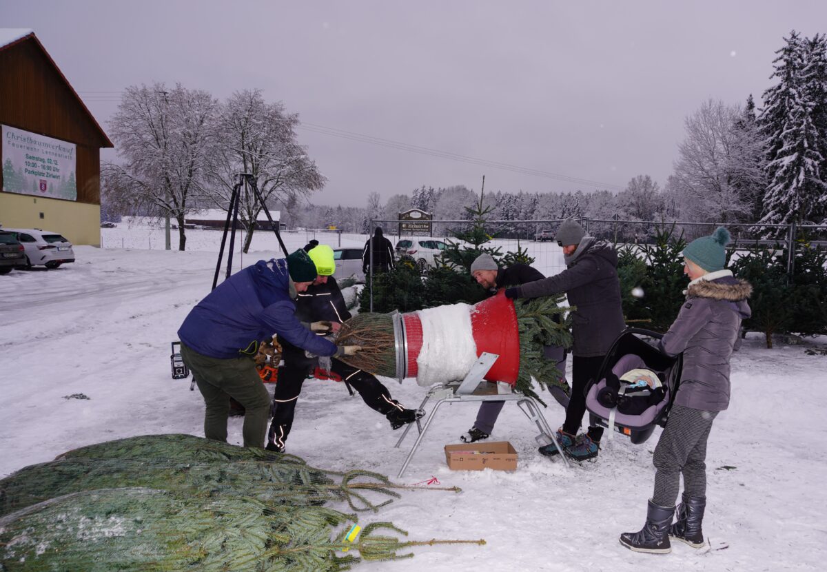 Christbaumverkauf in winterlicher Umgebung