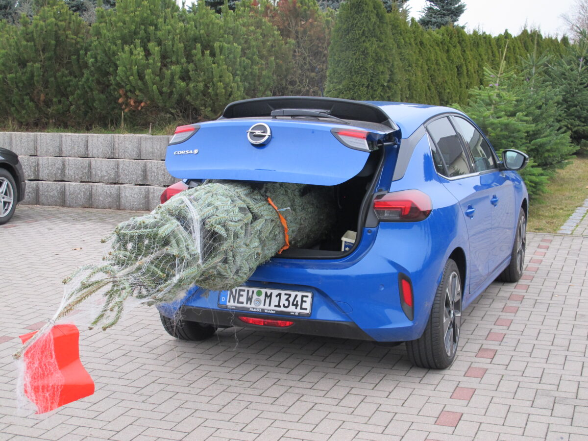 Gute Tipps zum sicheren Christbaum-Transport – ob auf dem Autodach oder im Innenraum