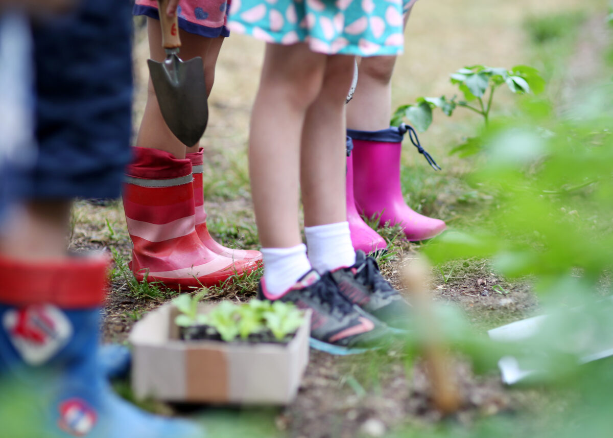 Besondere Auszeichnung für Nachhaltigkeit im Kindergarten St. Markus