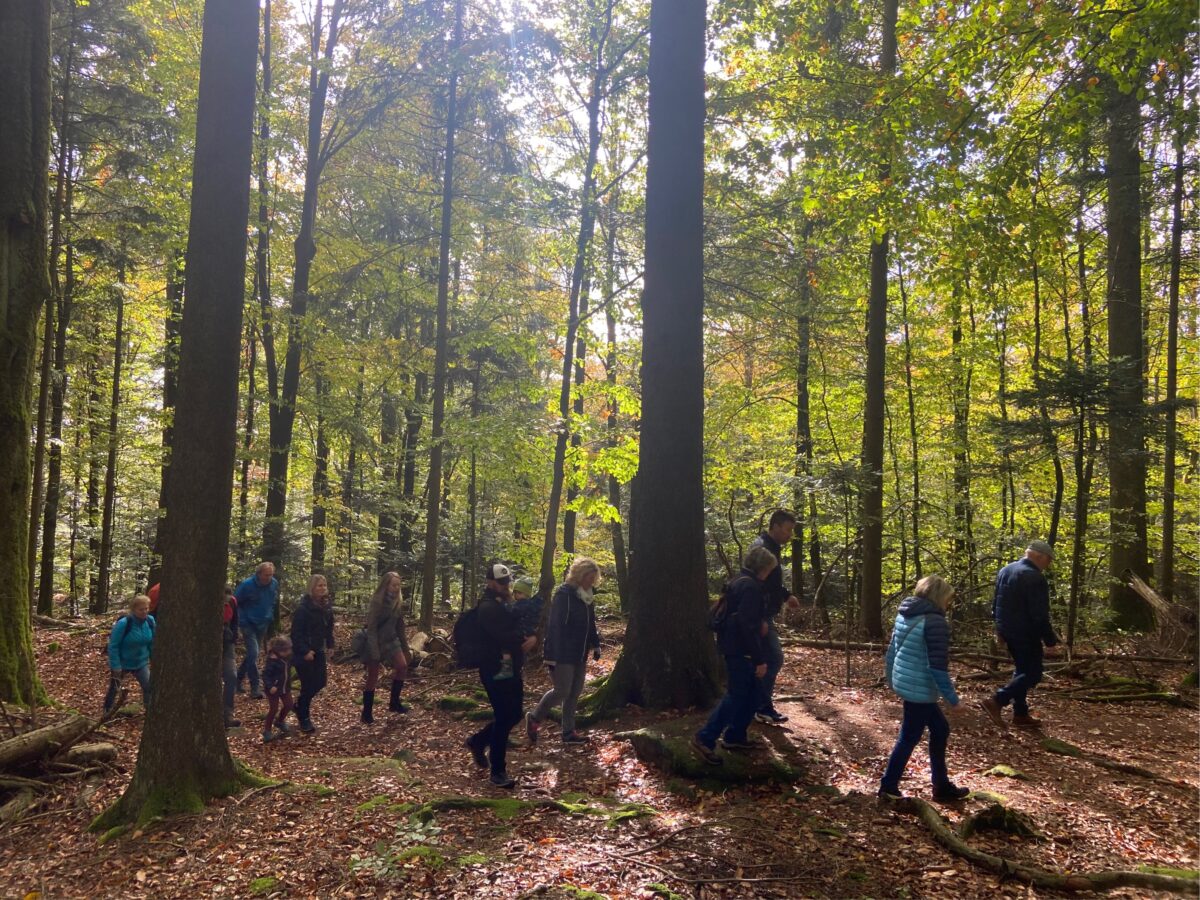 Wanderung im goldenen Herbst