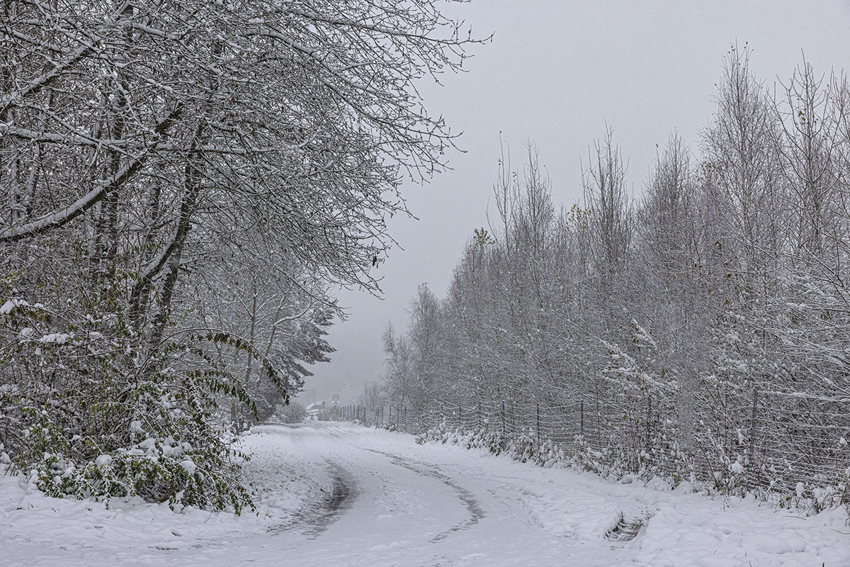 Winter treibt Arbeitslosigkeit im Agenturbezirk Weiden nach oben