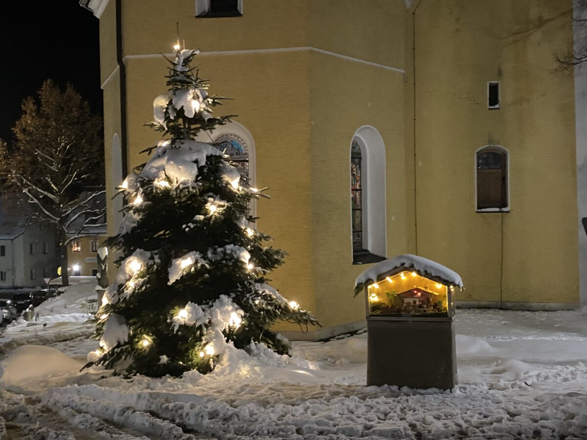 Christbäume in Amberg: Über Grüngutcontainer und Wertstoffhöfe entsorgen