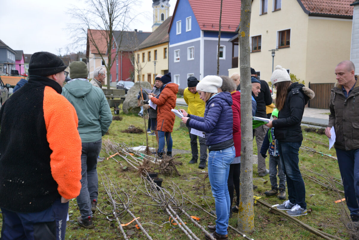 Biologische Vielfalt für Kohlberger Gärten