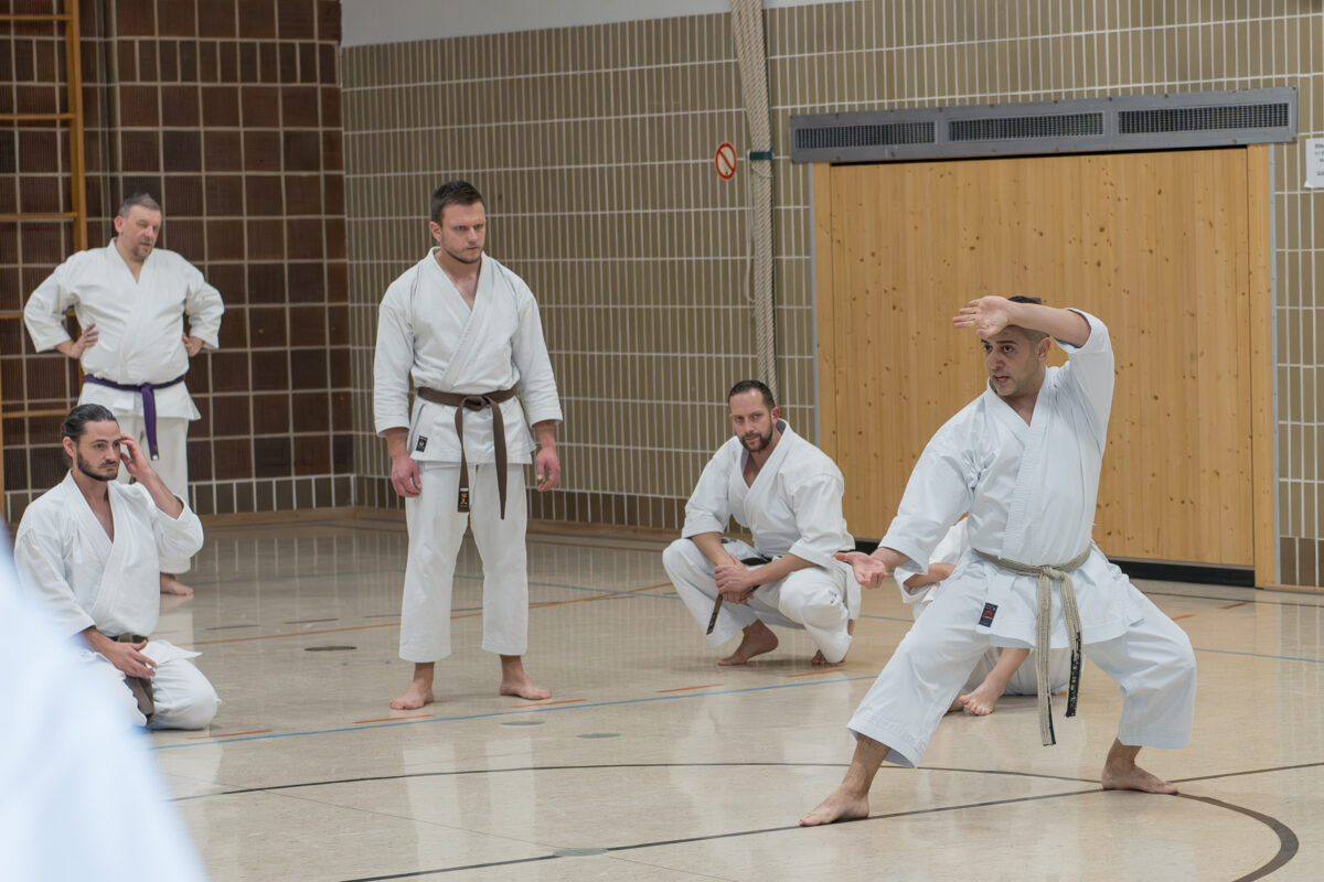 Vohenstraußer Karateka trainieren mit Karate-Prominenz