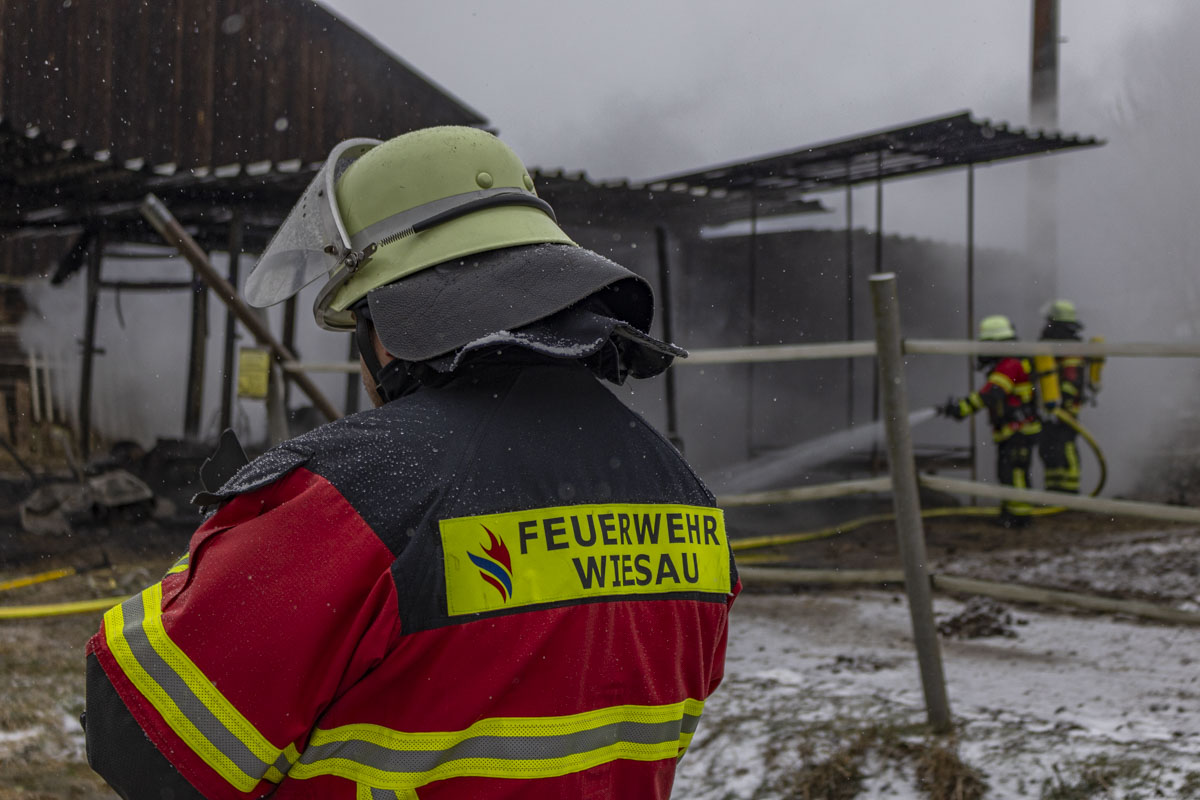 Brand auf Pferdekoppel war schnell unter Kontrolle