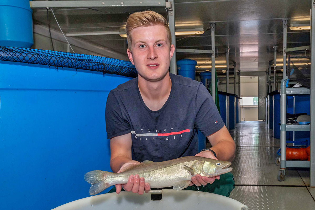 Mit Zukunftstechnologie in der Fischzucht wird in Bärnau gegen den Klimawandel angekämpft