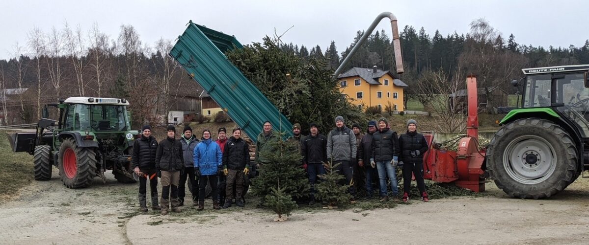 Weihnachtsbaum adieu: Sammelaktion in Erbendorf