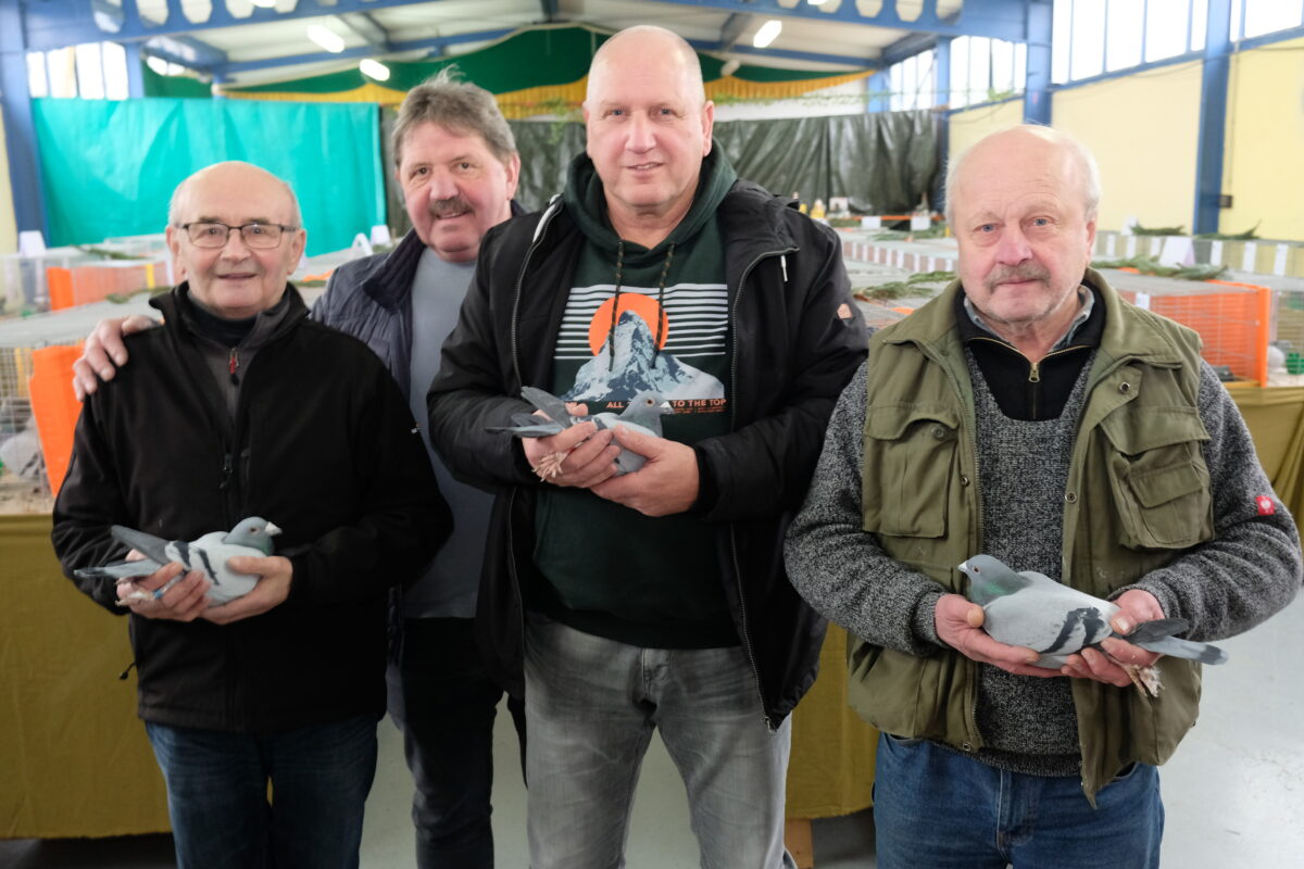 Gefiederte Hochleistungssportler bereichern Ausstellung in Tremmersdorf