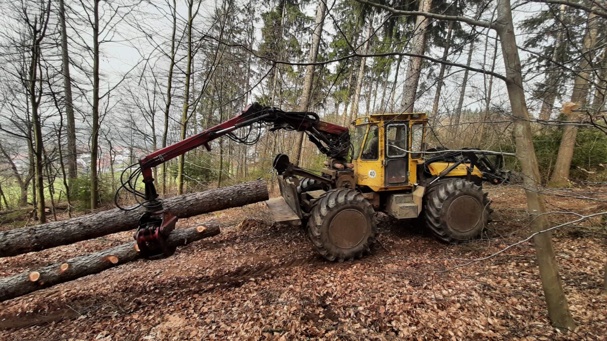 Gemeidewald in Tännesberg wirft Gewinn ab