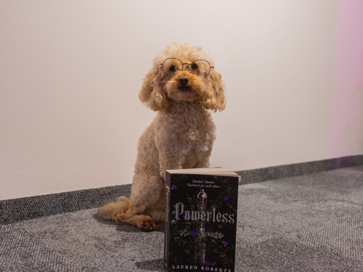 BücherECHO: Powerless – Das Spiel
