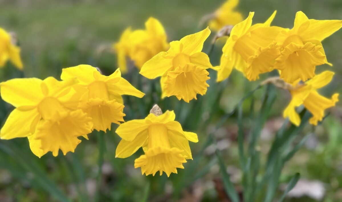 Was ist im Monat April wichtig? Ein unterhaltsamer Überblick