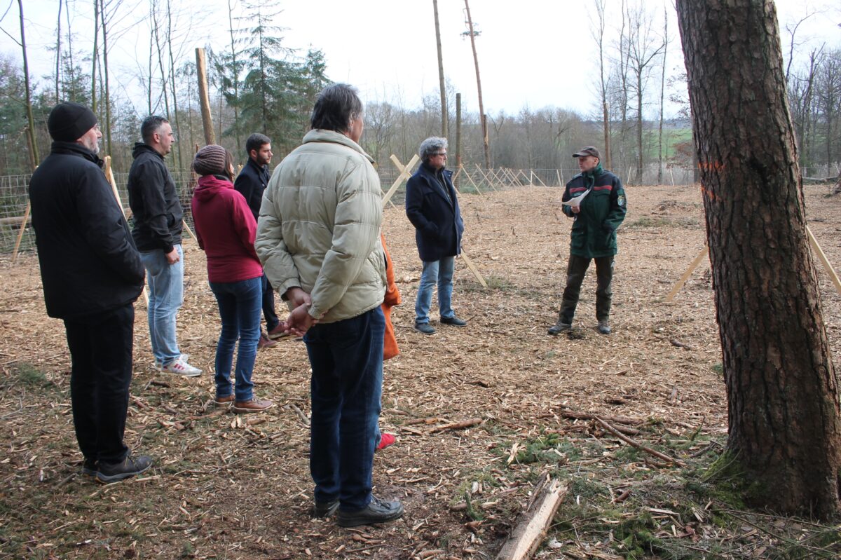 Waldprojekt in Pressath: Punktezahl für das „Ökokonto“ erhöhen