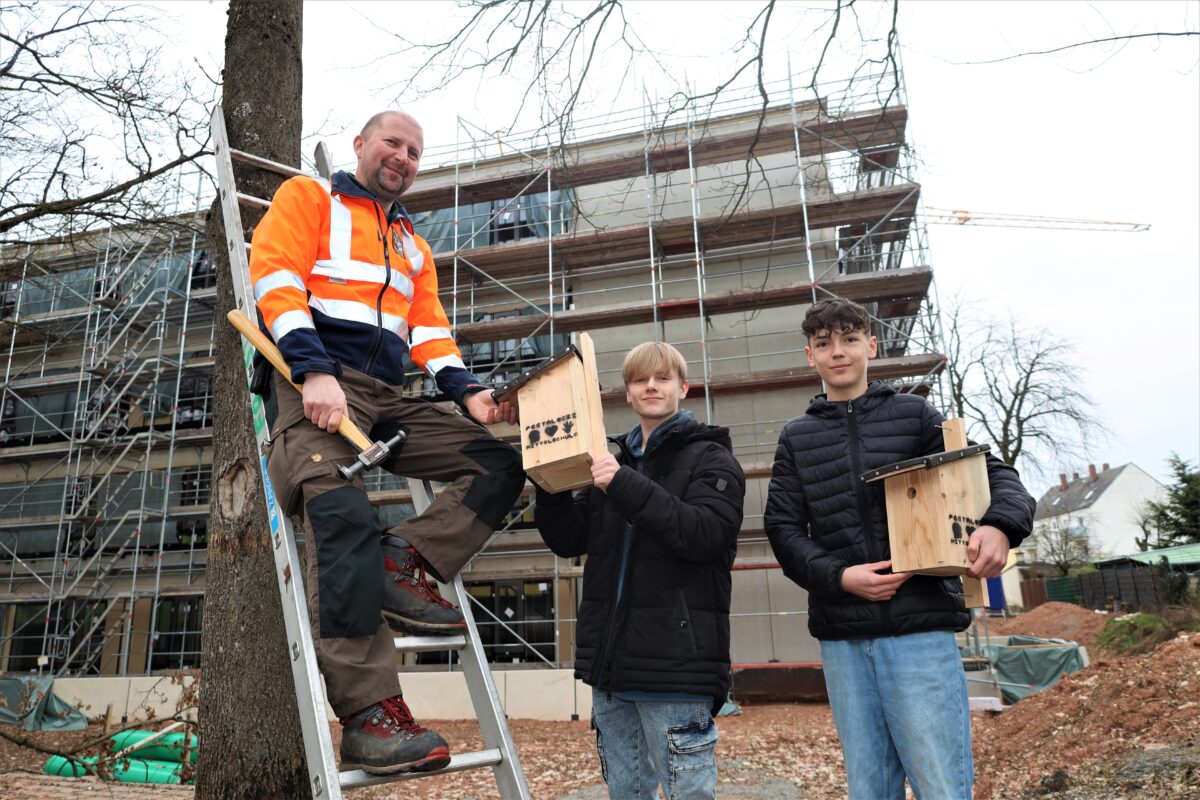Klassenprojekt: Pestalozzischüler bauen Nistkästen für Vögel im Stadtgebiet