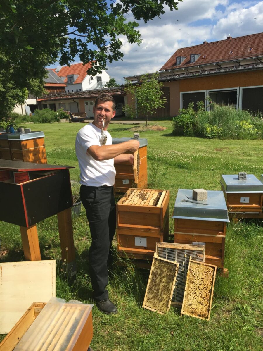 Mit Bienenfleiß zum Erfolg
