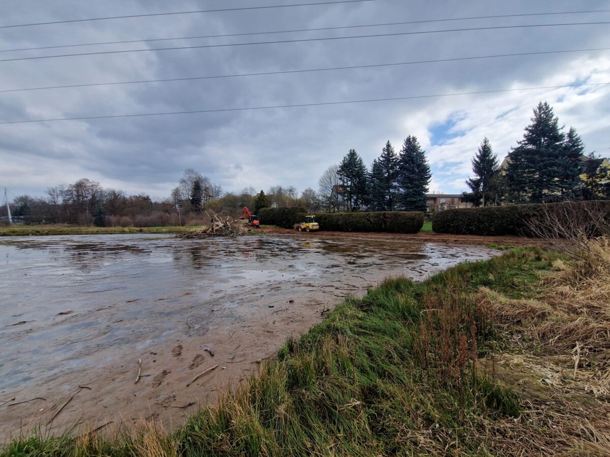 Kaltenecker-Weiher in Weiden wird saniert