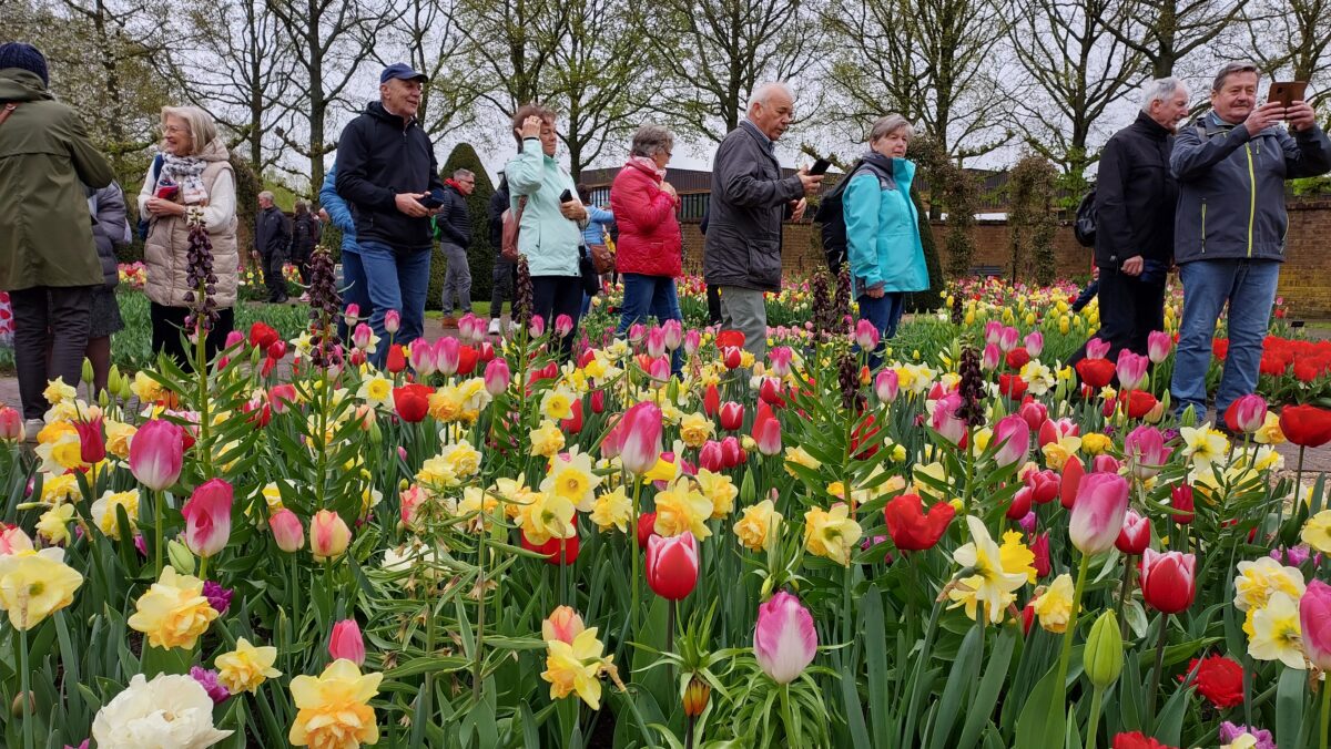 Eschenbacher blühen im Keukenhof auf