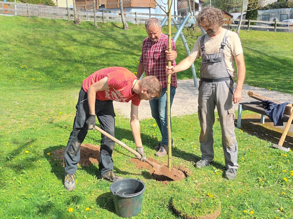 Baumpflanzaktion für ein grüneres Stadtbild in Pleystein