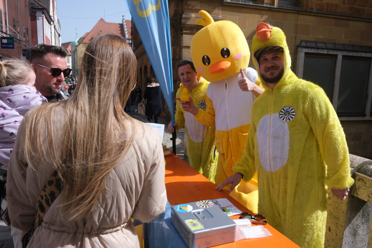 Wenn Enten um die Wette schwimmen