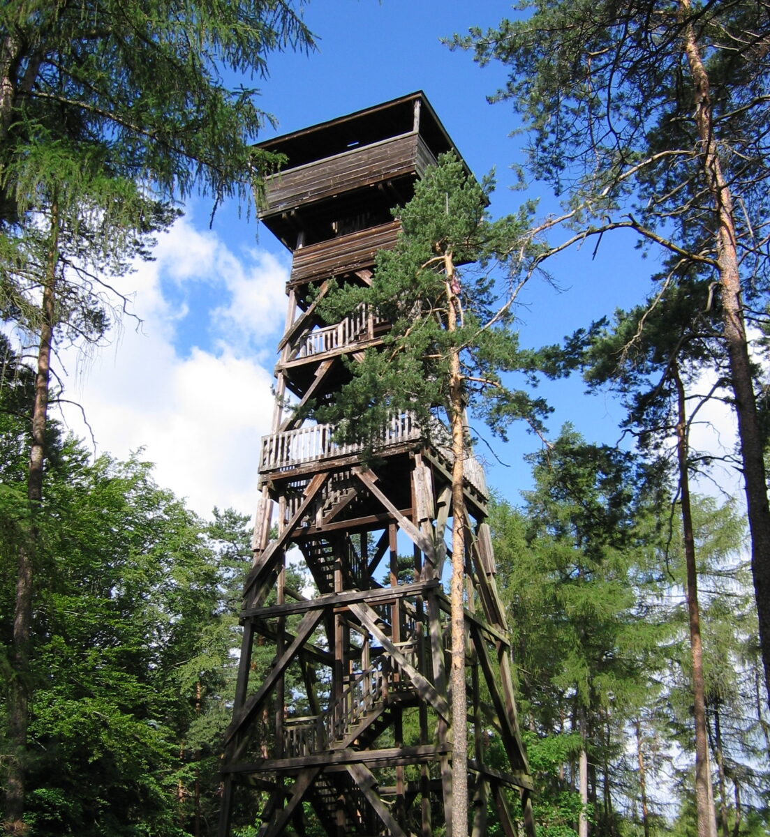 Der neue Hirschberg-Aussichtsturm kommt – und er wird noch höher